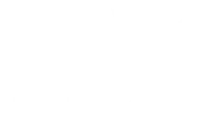 neo_logo_white